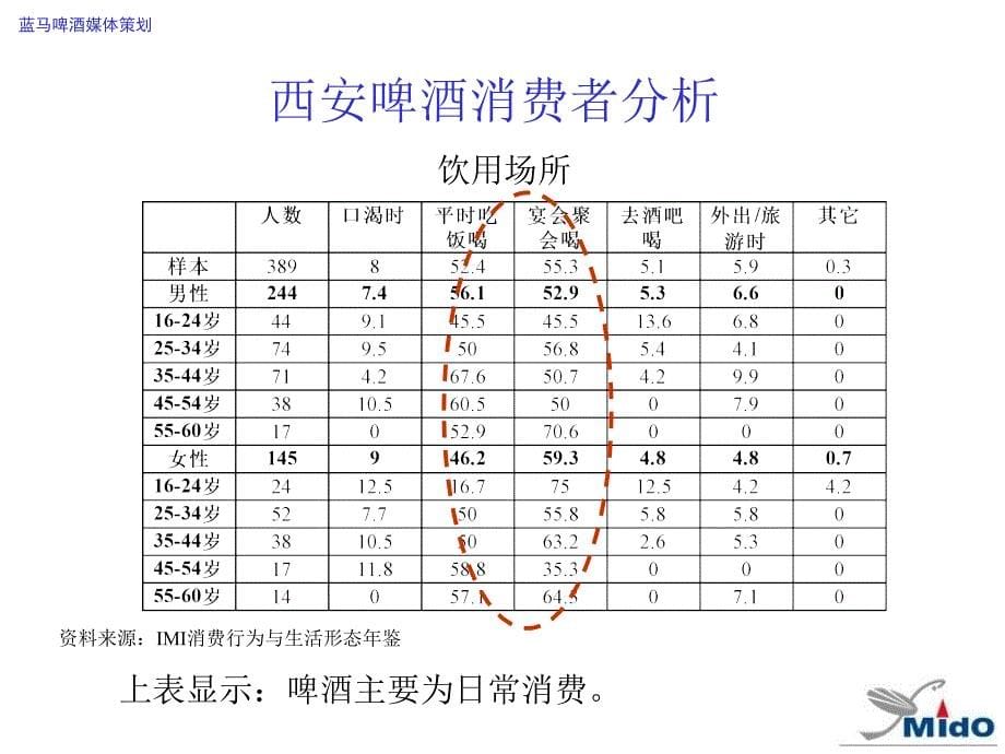 蓝马啤酒 媒体策划_第5页