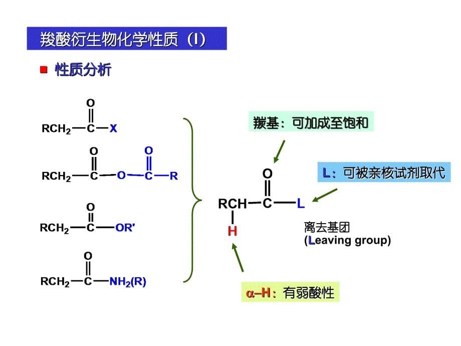 十三章节羧酸衍生物1_第5页