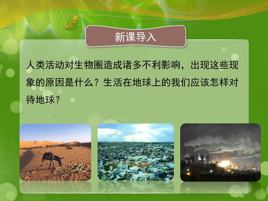 14.2保护生物圈是全人类的共同义务优教课件_第2页