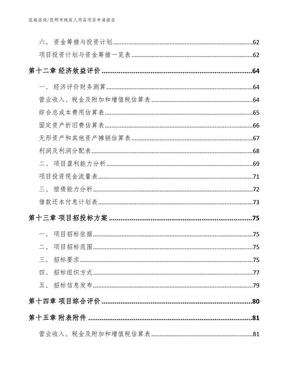 昆明市残疾人用品项目申请报告模板参考_第5页