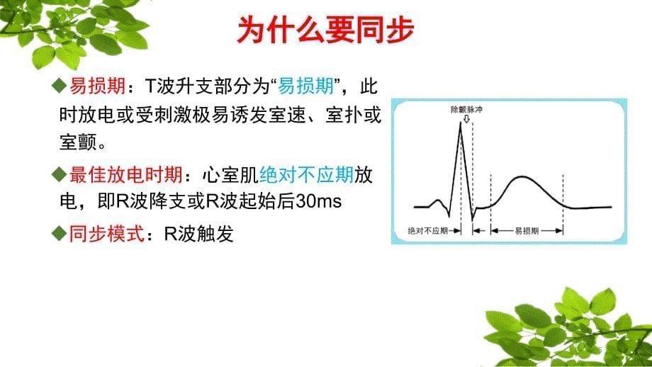 电复律与电除颤ppt课件_第5页