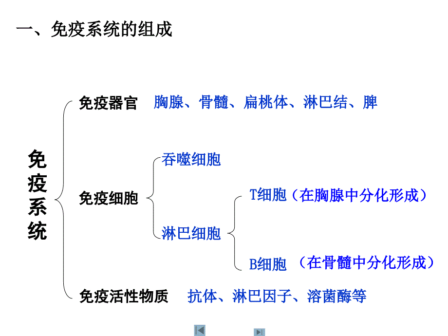 免疫调节课件_第3页