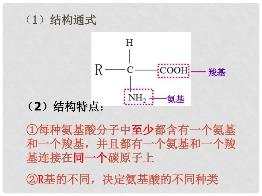 浙江省临海市杜桥中学高二生物《1.3 蛋白质》》课件 新人教版_第5页