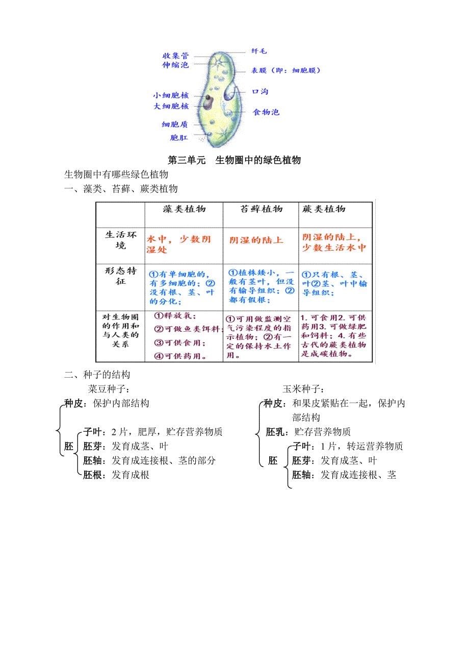 人教版初中生物知识点汇总_第5页