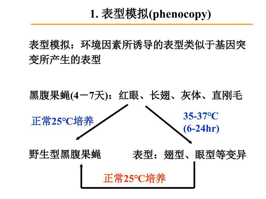 第3章孟德尔定律延伸_第3页