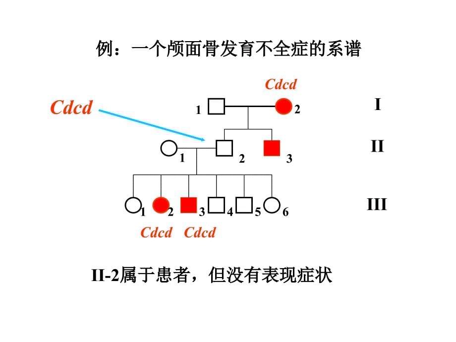 第3章孟德尔定律延伸_第5页