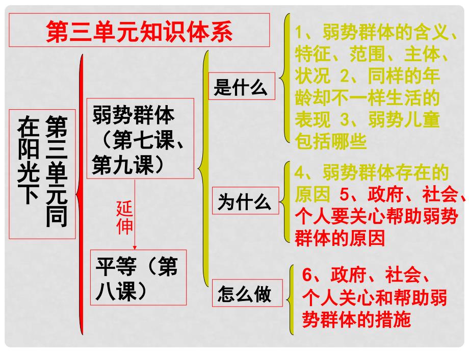 九年级政治 第三单元同在阳光下知识梳理 教科版_第4页