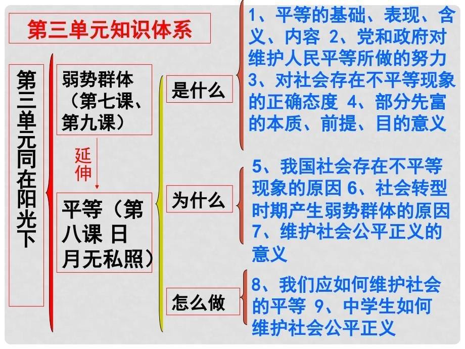 九年级政治 第三单元同在阳光下知识梳理 教科版_第5页