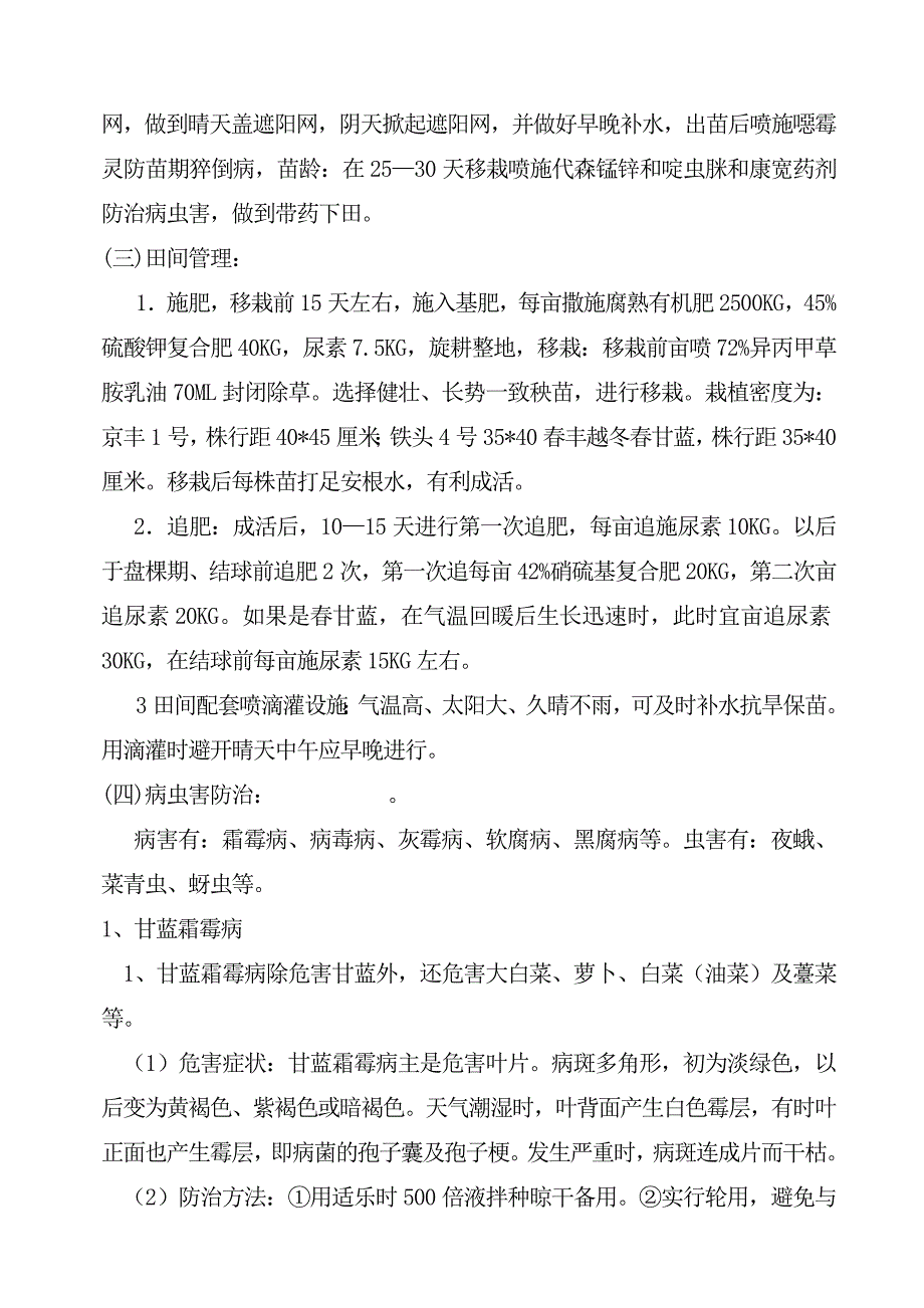 结球甘蓝高效栽培及病虫害防治技术.doc_第2页