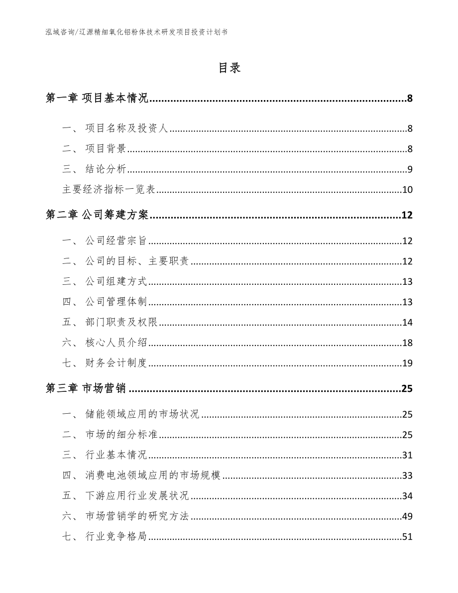 辽源精细氧化铝粉体技术研发项目投资计划书_参考范文_第2页