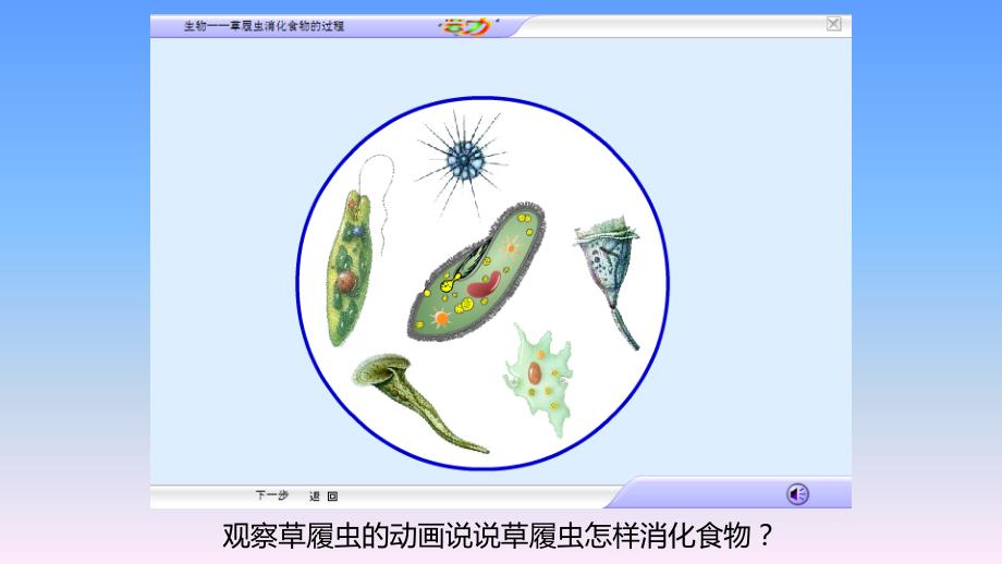 草履虫消化食物的过程_第3页