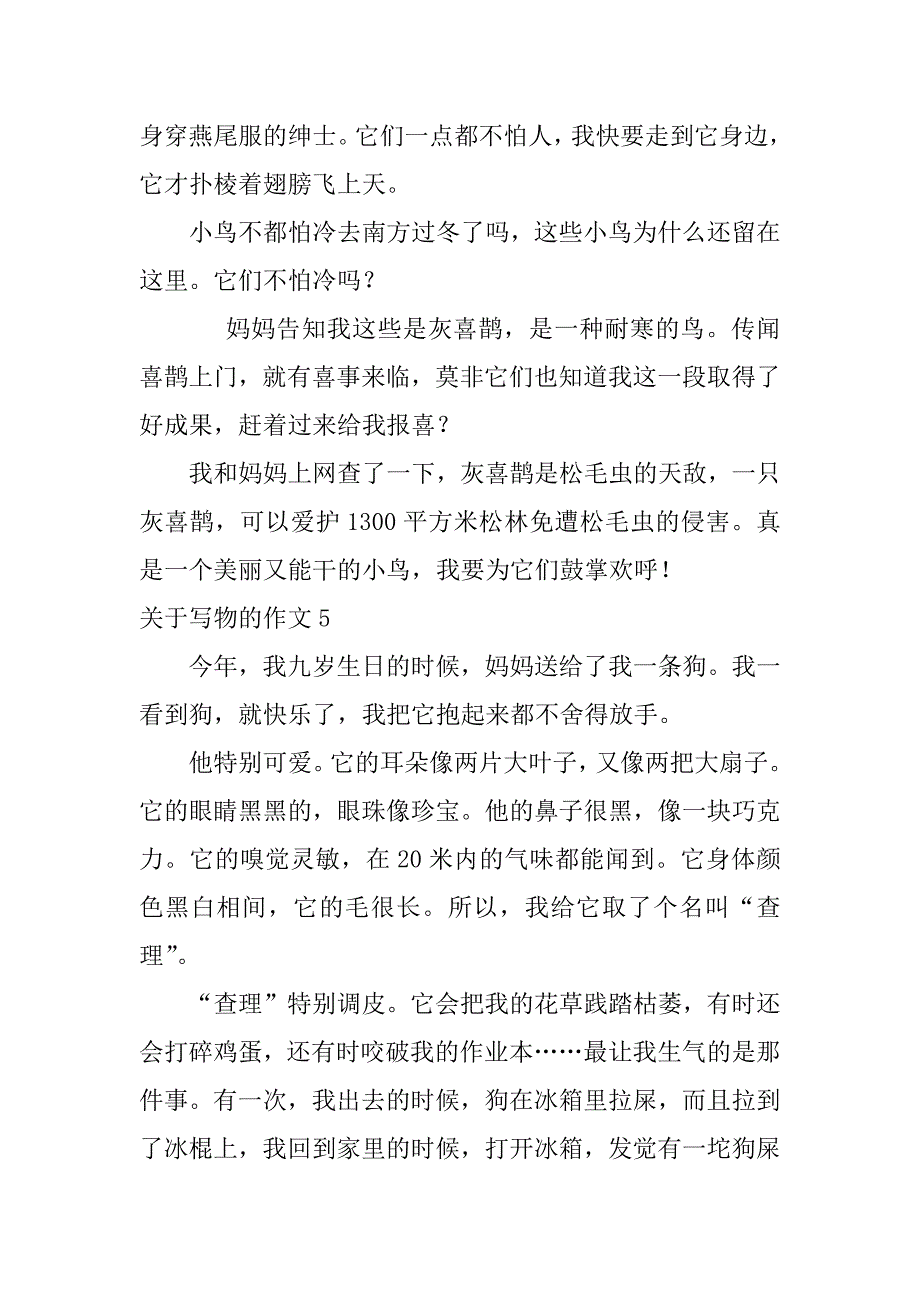 2023年关于写物的作文5篇写物的作文高中作文_第4页