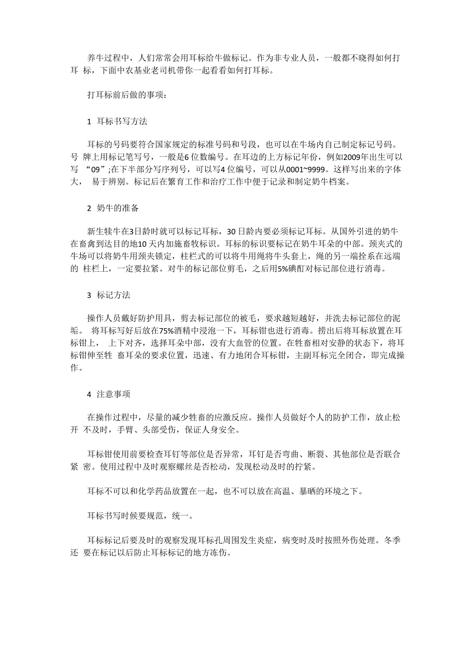 打牛耳标应注意哪些事项_第1页