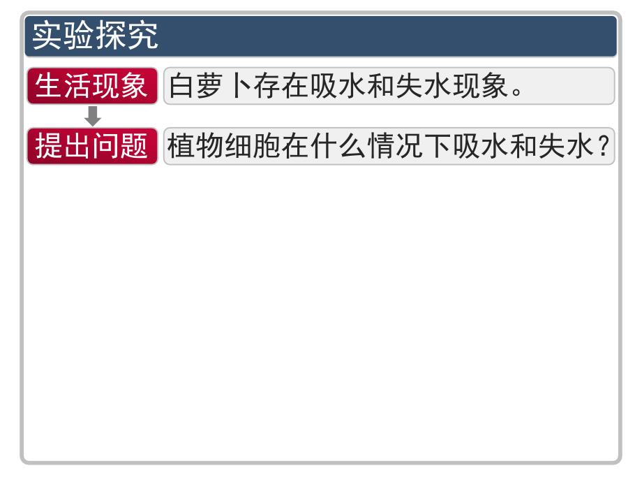 11高一生物必修1章第1节物质跨膜运输的实例教程_第4页