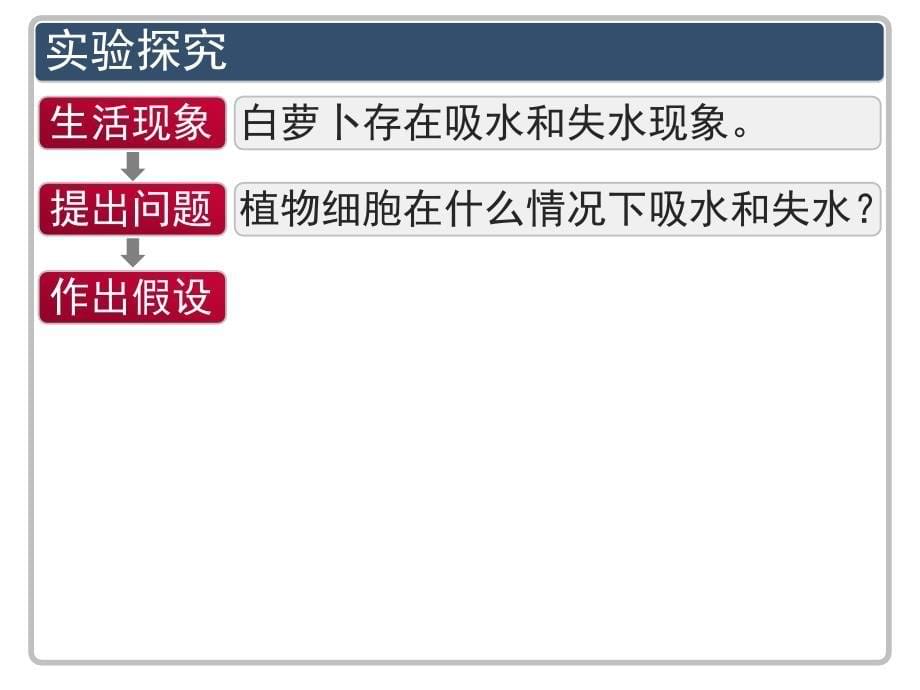 11高一生物必修1章第1节物质跨膜运输的实例教程_第5页