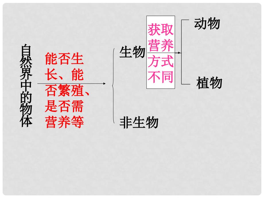 浙江省永嘉县大若岩镇七年级科学 第四节第1课时 常见的动物课件 浙教版_第4页