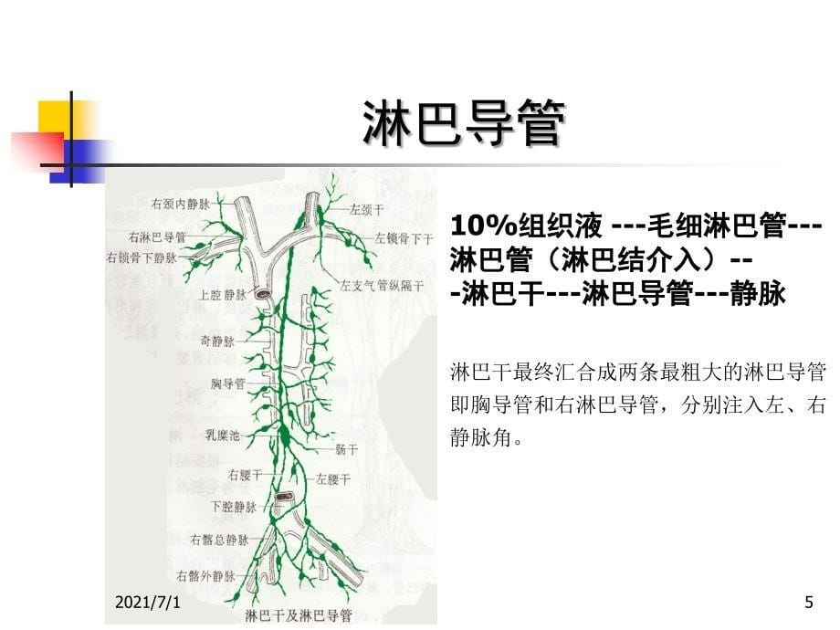 胸科手术术后乳糜胸综合治疗1_第5页