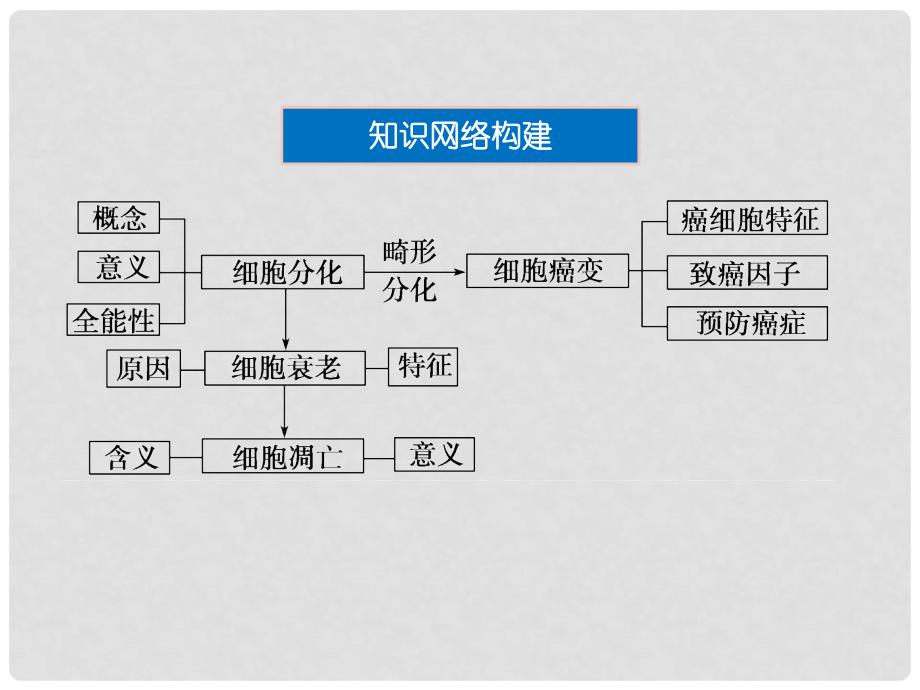 高考生物二轮复习 第一部分 专题三第2讲细胞的分化 衰老凋亡和癌变课件_第2页