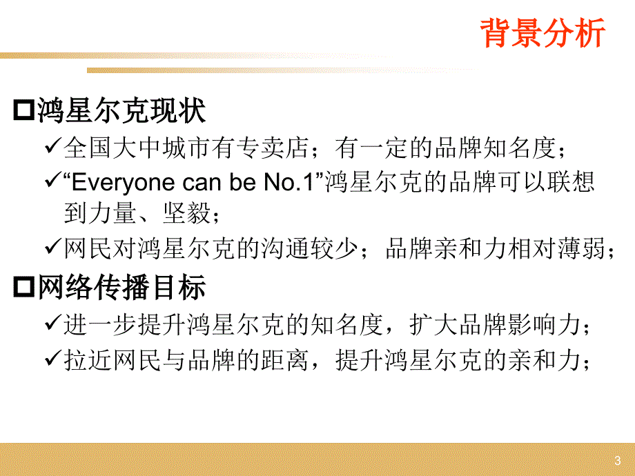 鸿星尔克网络营销策划案.ppt_第3页