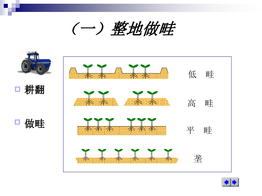 三节蔬菜田间管理技术_第3页