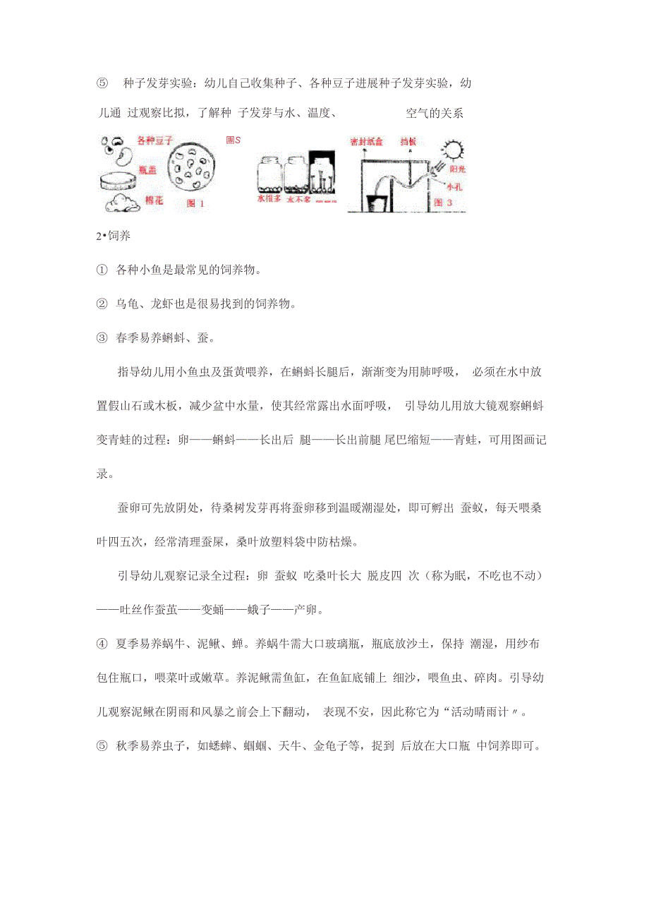 自然科学区材料的投放及使用_第4页