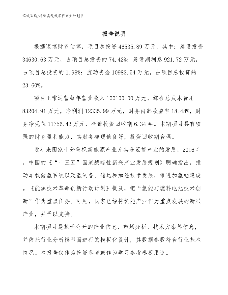 株洲高纯氢项目商业计划书_第2页