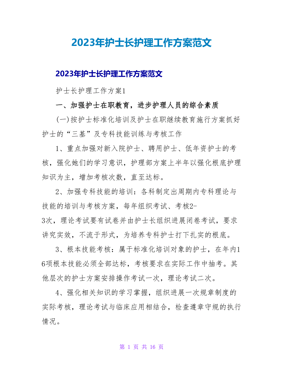 2023年护士长护理工作计划范文.doc_第1页