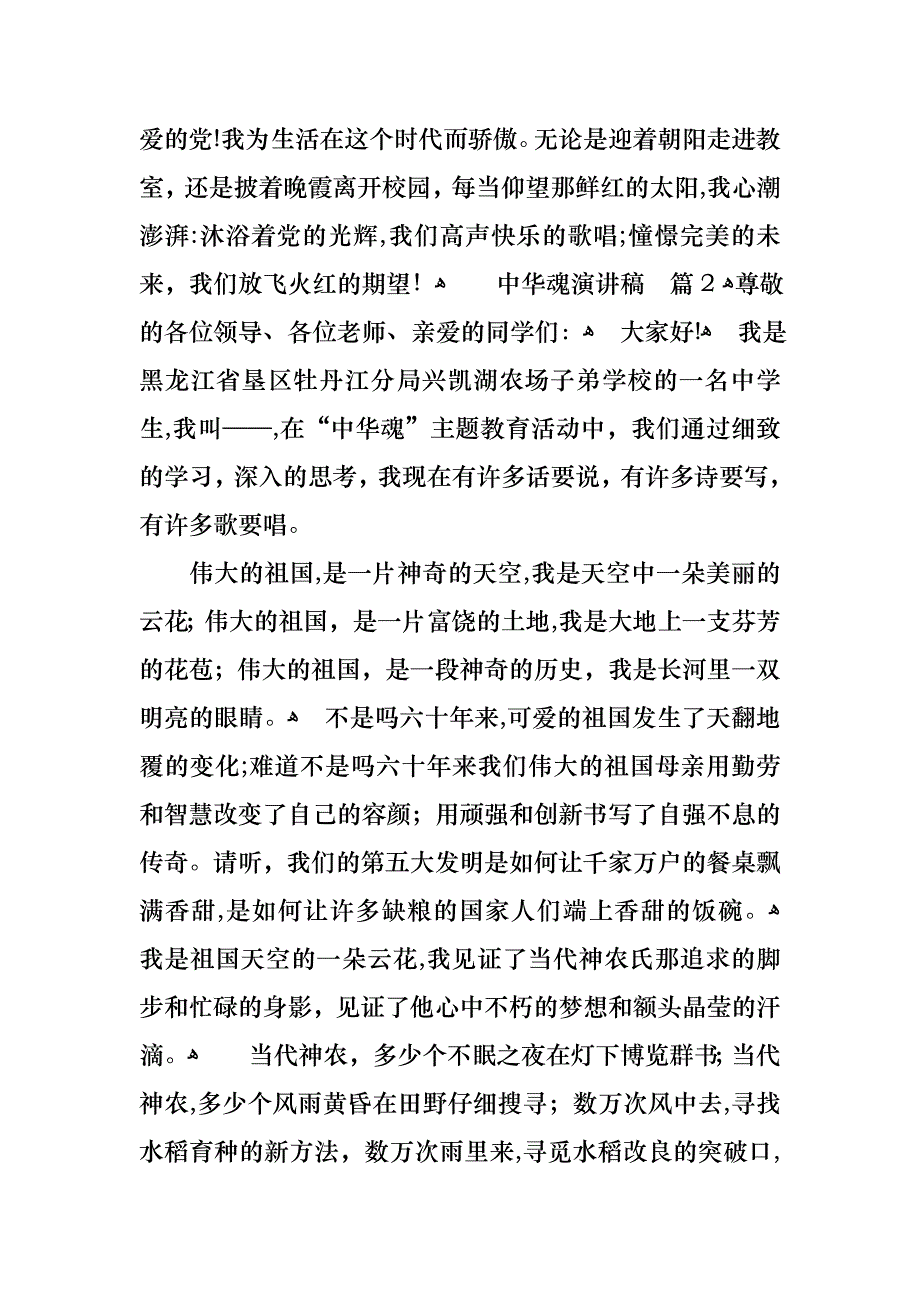 中华魂演讲稿范文合集九篇_第3页