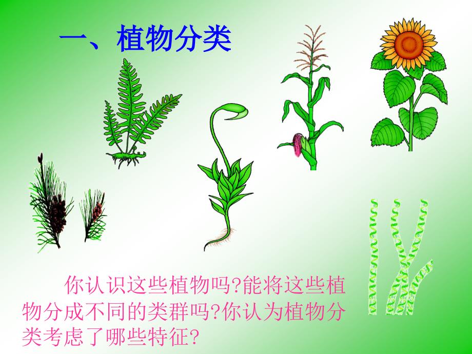 尝试对生物进行分类ppt名师制作优质教学资料_第4页