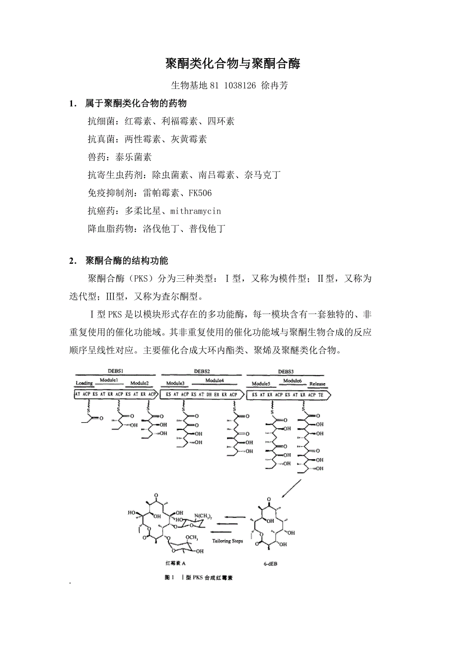 聚酮类化合物_第1页