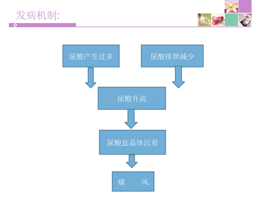 痛风护理查房恢复_第4页