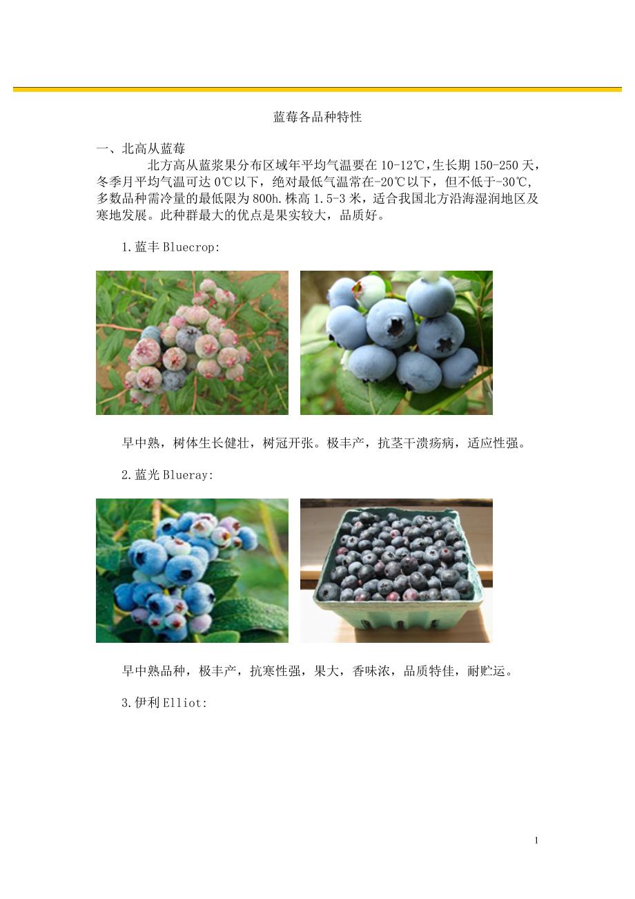 蓝莓各品种特性.doc_第1页