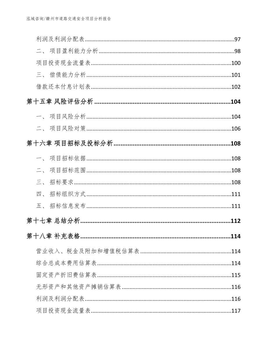 赣州市道路交通安全项目分析报告_第5页