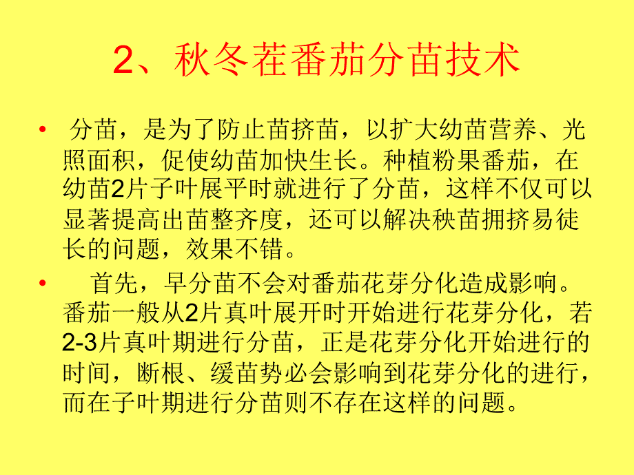 冬茬番茄育苗技术课件_第3页