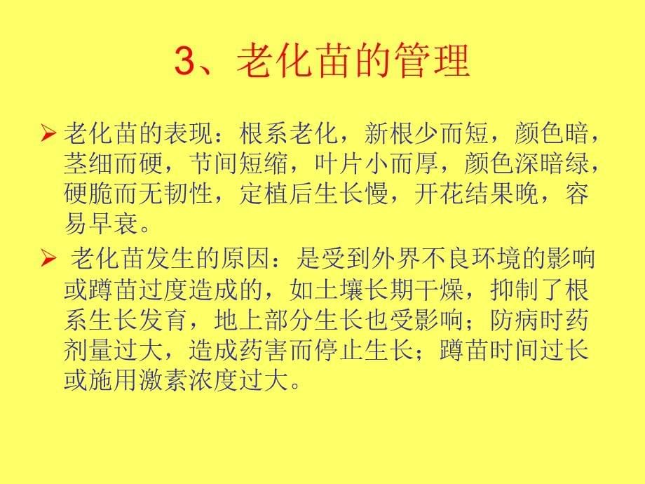 冬茬番茄育苗技术课件_第5页