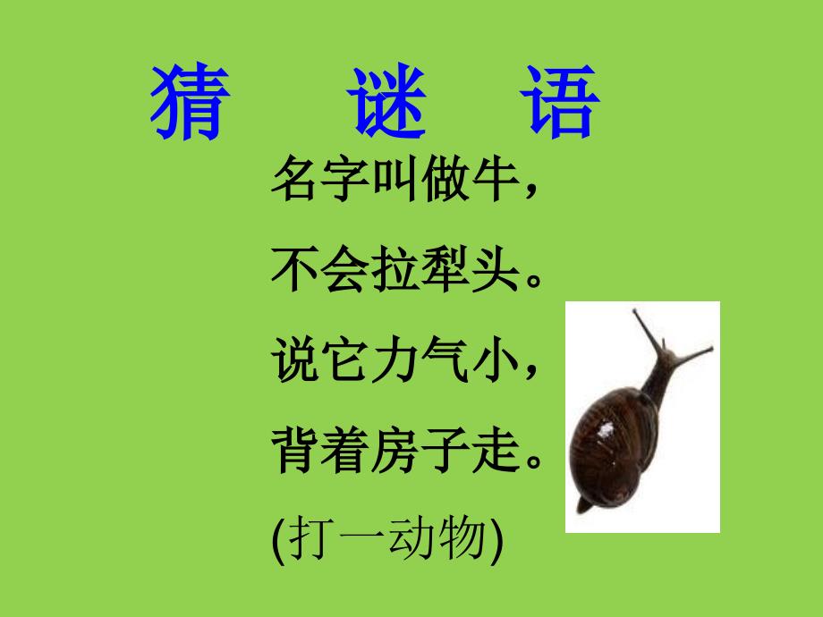 课文14小蜗牛教学课件_第1页