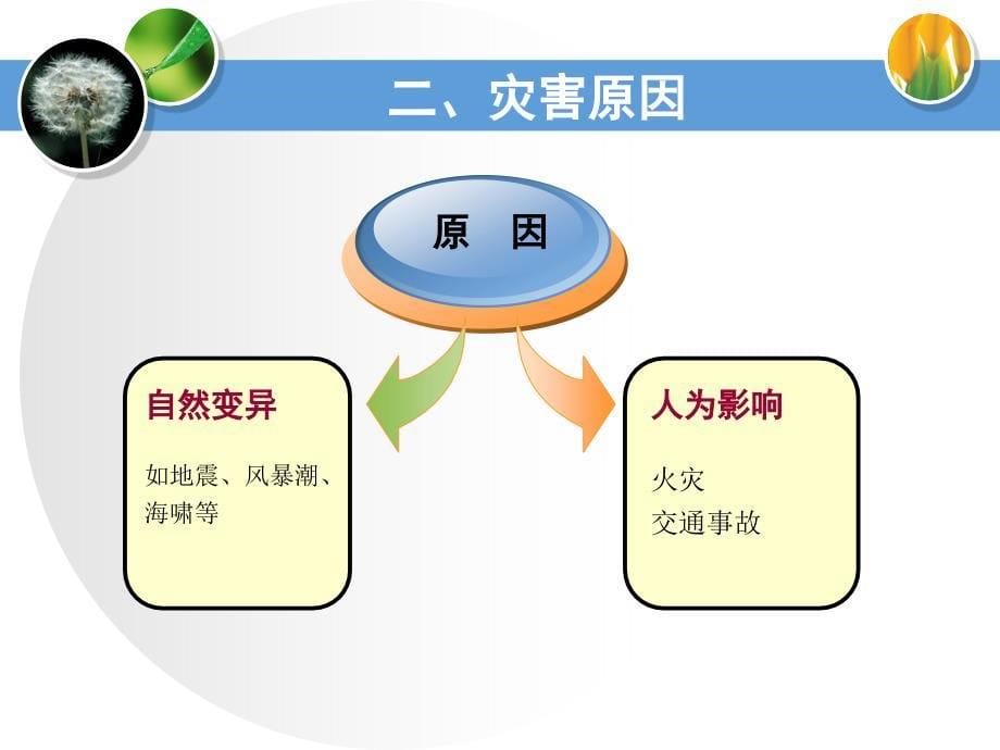 急诊医学：第九章灾害事故急救_第5页