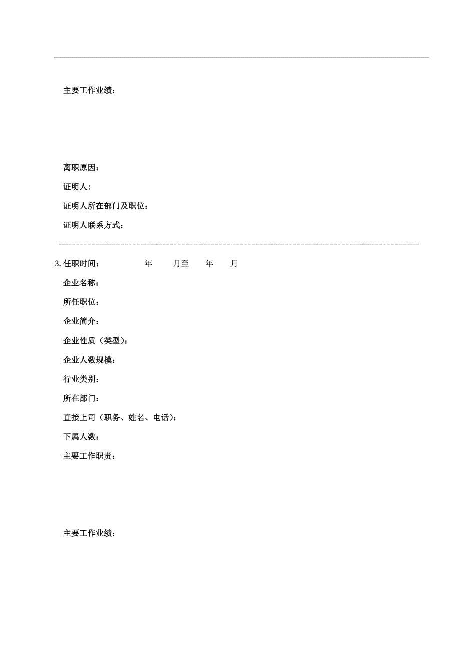 某著名猎头公司高级人才候选人简历模板(新).docx_第5页