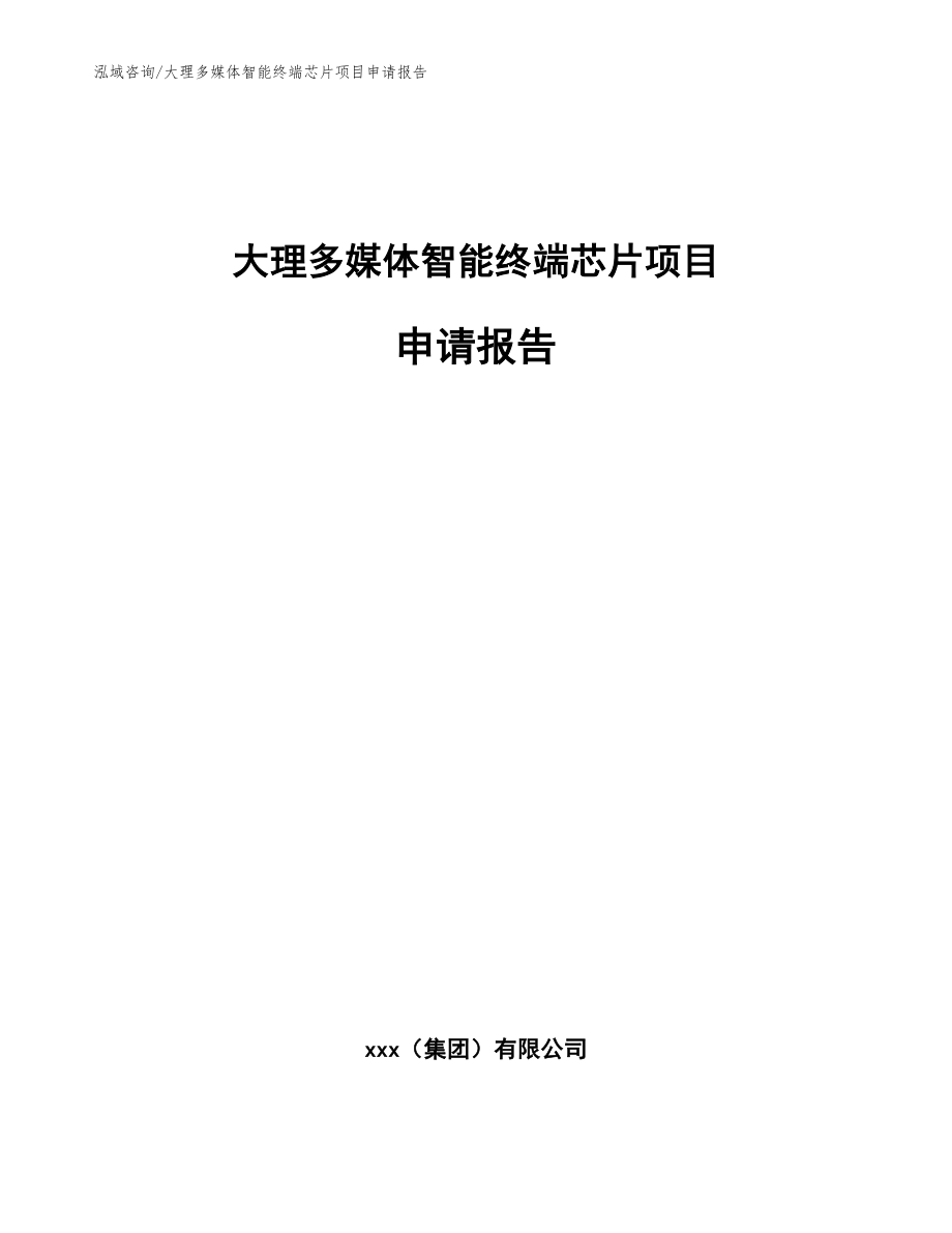 大理多媒体智能终端芯片项目申请报告范文参考_第1页