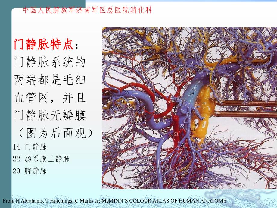 胰源门脉高压PPT演示课件_第3页