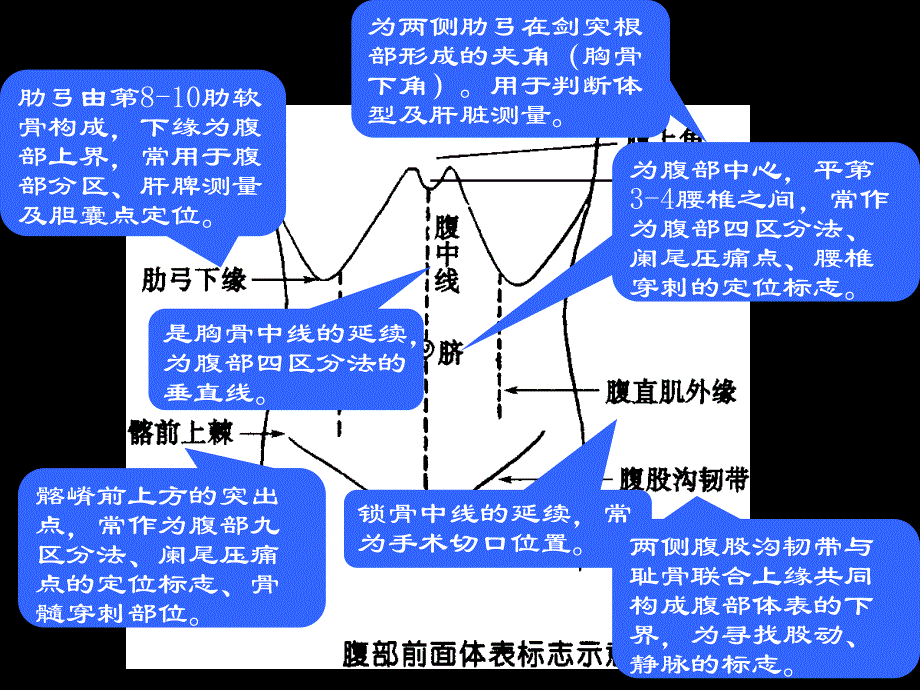 腹部评估(1)教学文案_第4页