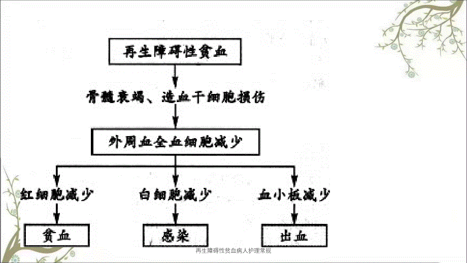 再生障碍性贫血病人护理常规_第3页