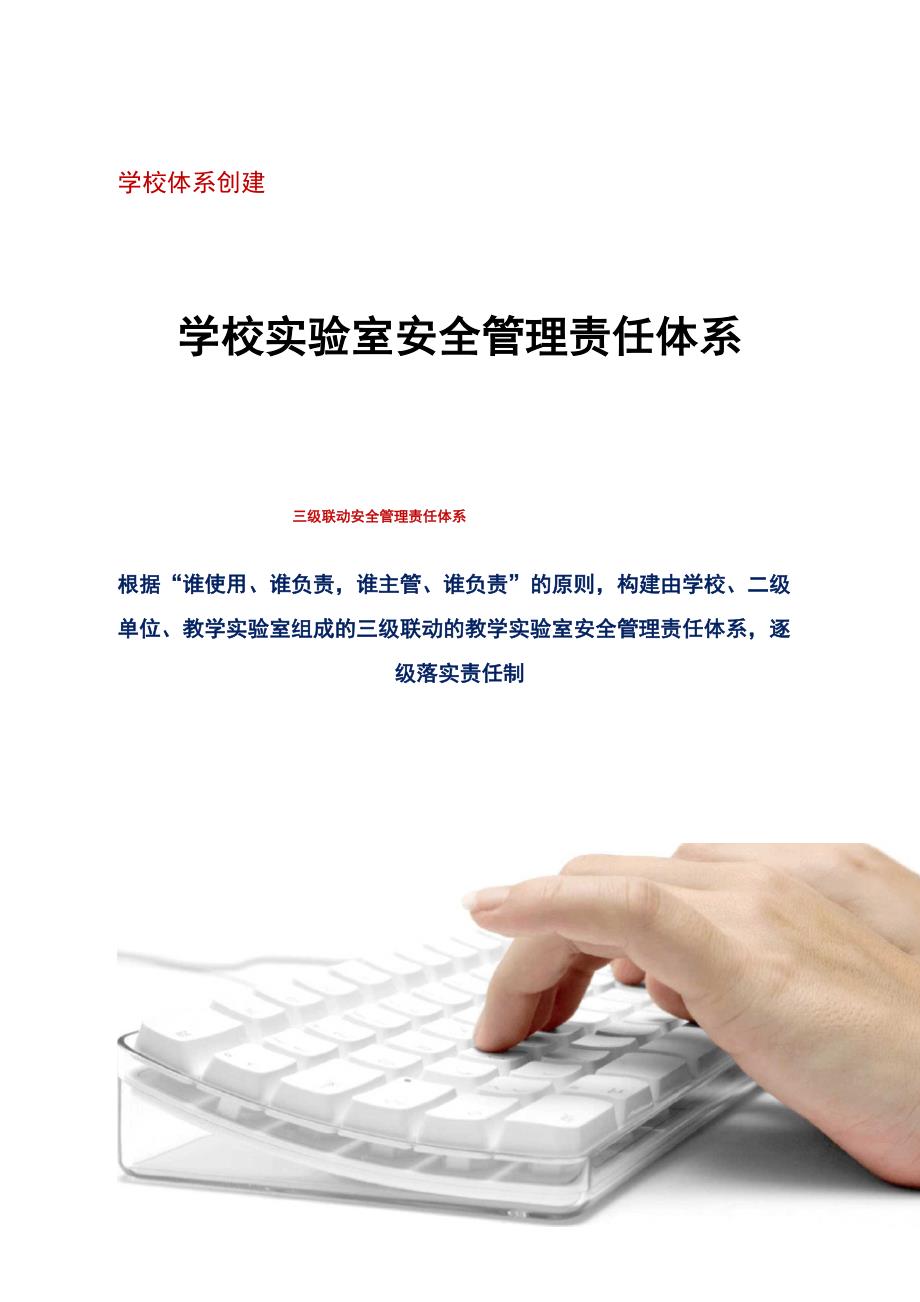 2020学校实验室安全管理责任体系_第1页