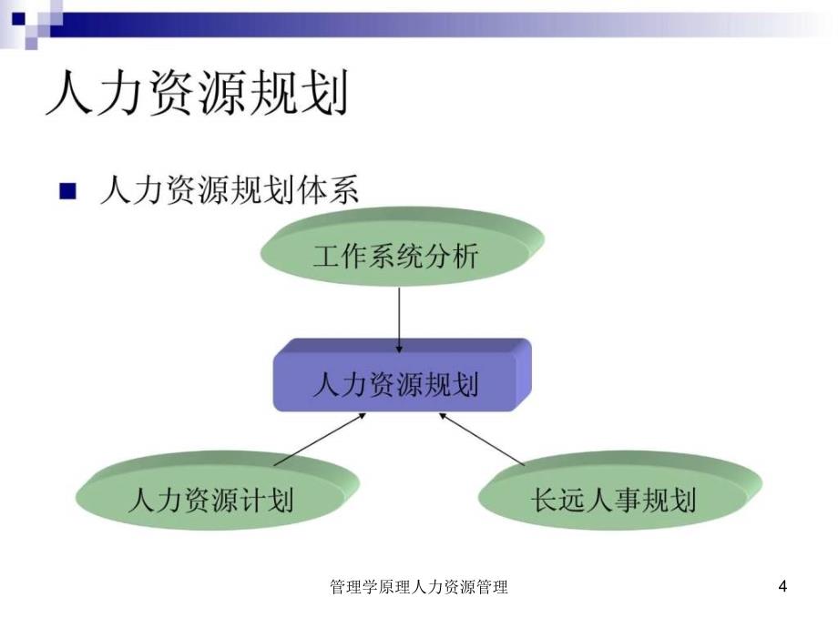 管理学原理人力资源管理课件_第4页