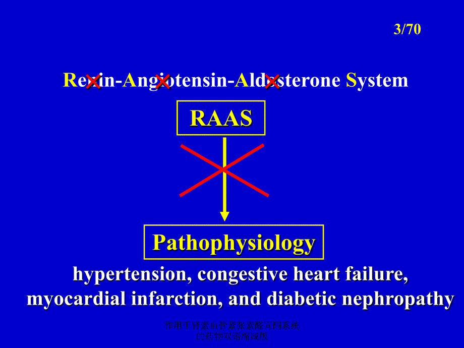 作用于肾素血管紧张素醛固酮系统的药物双语缩减版课件_第3页