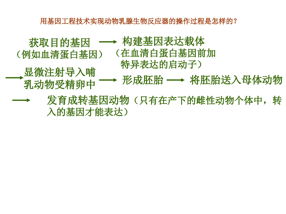 用基因工程技术实现动物乳腺生物反应器的操作过程是怎.ppt_第1页