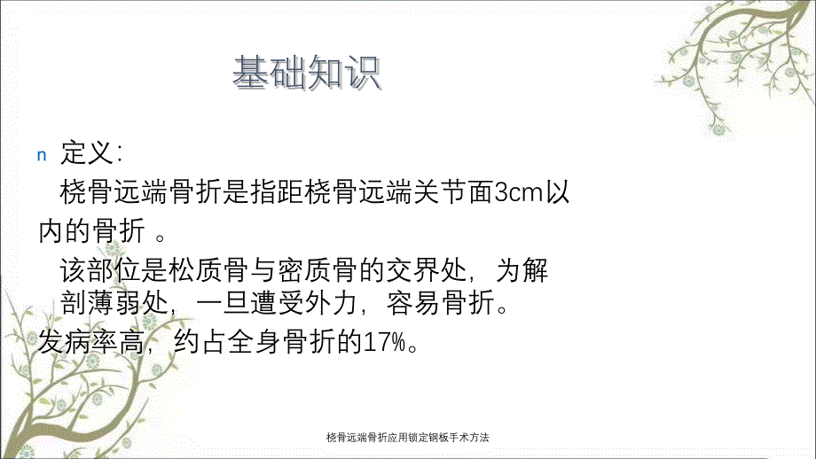 桡骨远端骨折应用锁定钢板手术方法_第2页