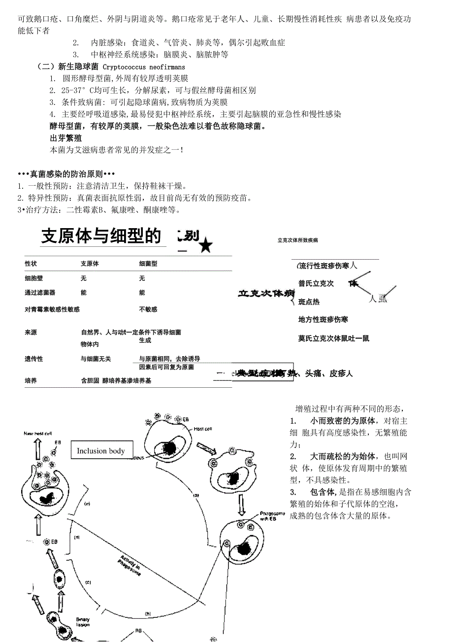 四体真菌总结_第5页