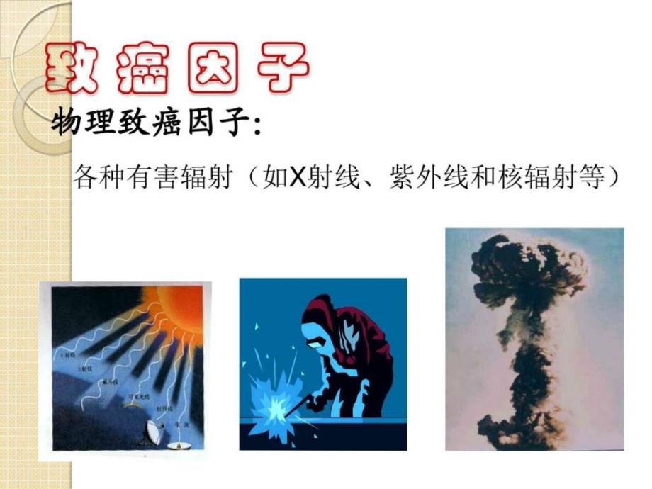 生物5.3关注癌症课件3苏教版必修1图文.ppt_第4页