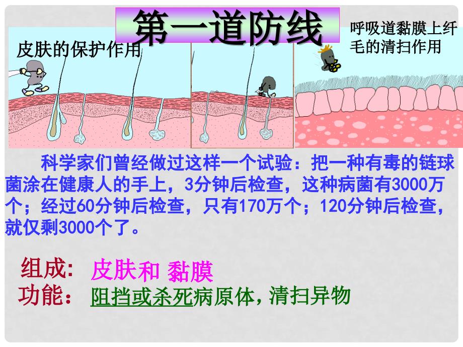 八年级生物下册 15.2 免疫课件 北京版_第3页